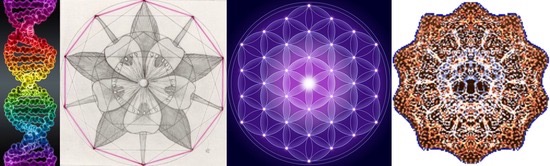 Coloured helix and three geometric patterns.