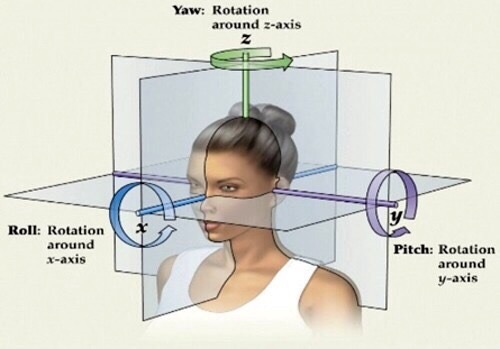 Head model with x, y and z axes and rotation arrows.