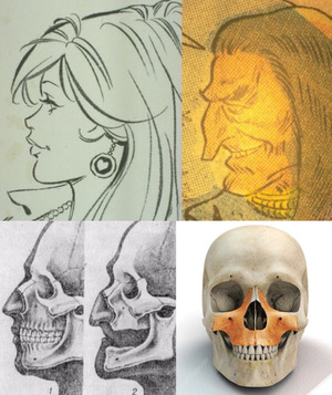 Collage of caricatures, lateral diagrams and a coloured skull model.