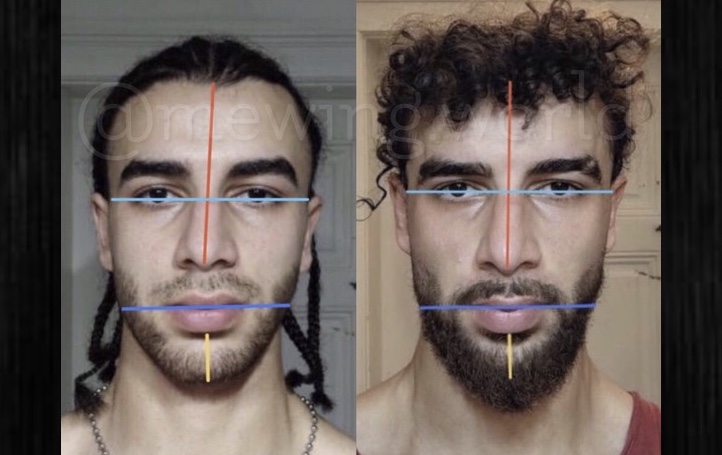 Two male portraits with coloured facial guides.