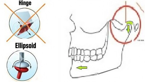 Joint diagram: hinge, ellipsoid, jaw and movement arrows.